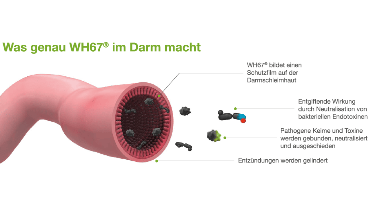 Wirkungsweise WH67® EG03