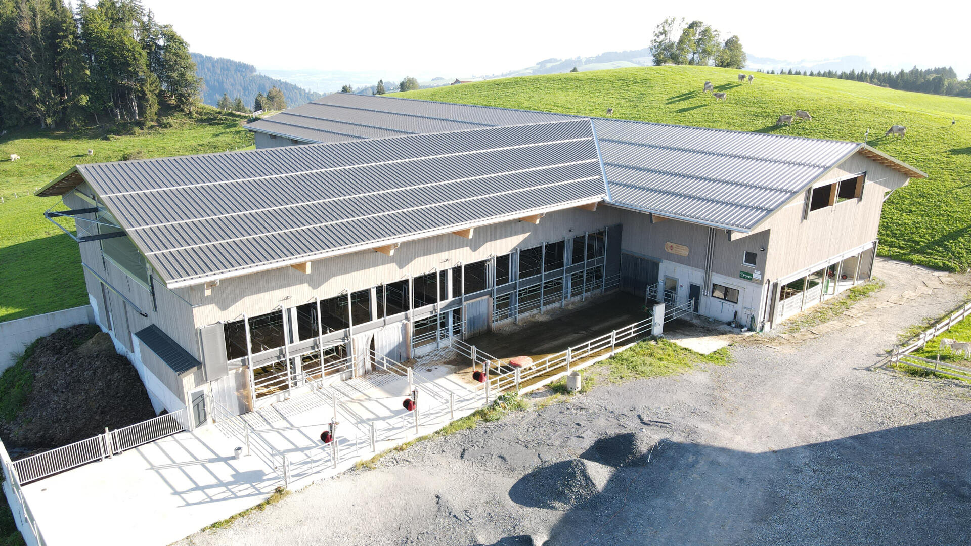 Eine große moderne Scheune mit einem Wellblechdach steht auf einem grünen Hügel. Es gibt eingezäunte Bereiche, Kieswege und mehrere Kühe, die im Hintergrund unter freiem Himmel auf dem Gras grasen.