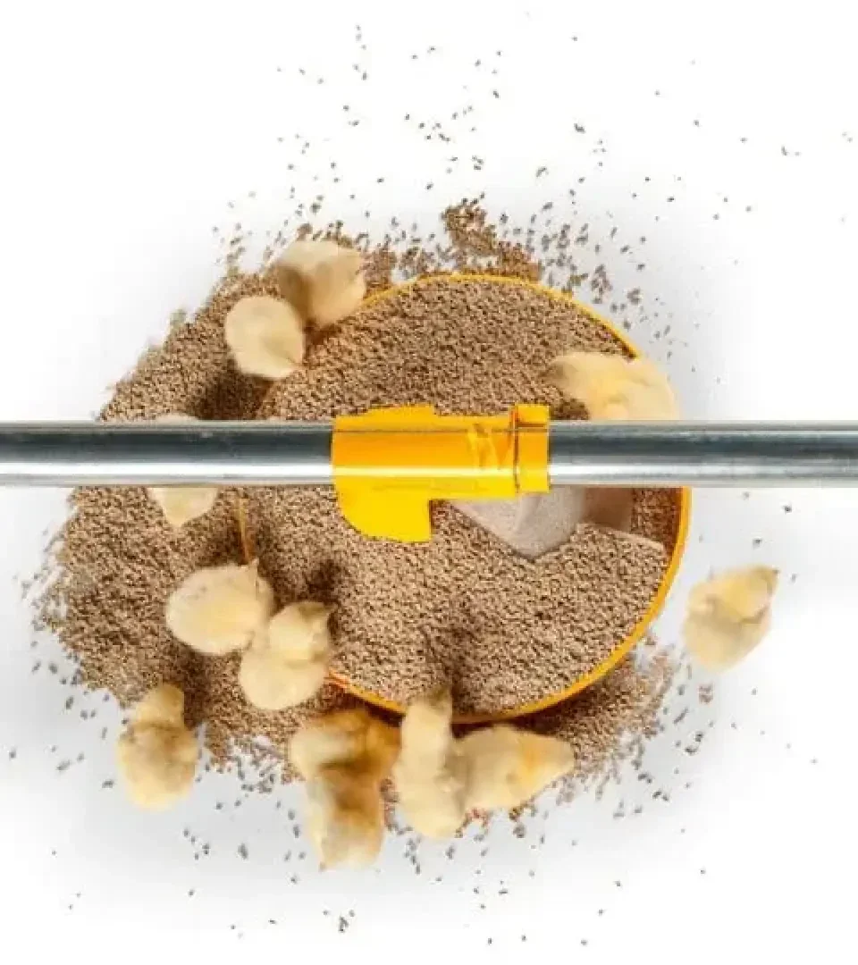 Mehrere gelbe Küken versammeln sich um eine gelbe Futterschale, die mit braunen Futterpellets gefüllt ist, von oben gesehen. In der Mitte des Bildes verläuft horizontal eine Metallstange.