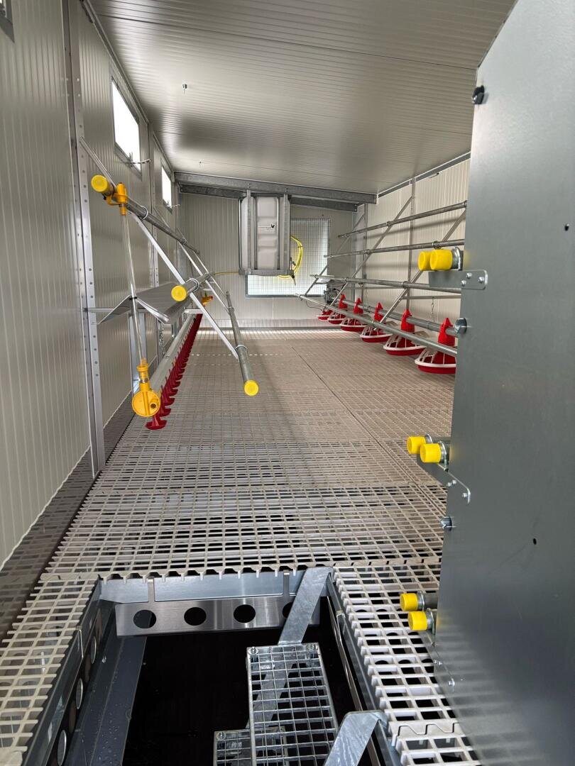 Das Innere eines modernen, leeren Geflügelstalls mit Metallgitterböden, automatisierten Fütterungs- und Tränkanlagen und sauberen, hellgrauen Wänden; durch kleine Fenster strömt Sonnenlicht herein.