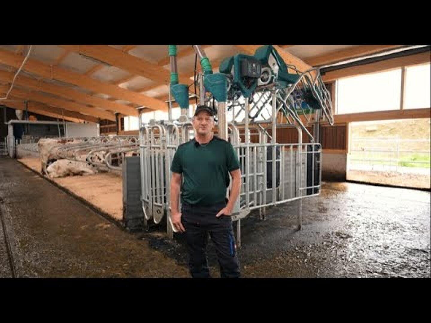 Eine Person, die ein grünes Hemd und eine dunkle Hose trägt, steht in einem modernen Stall, in dem Kühe in Ställen liegen und durch große Fenster natürliches Licht einfällt.