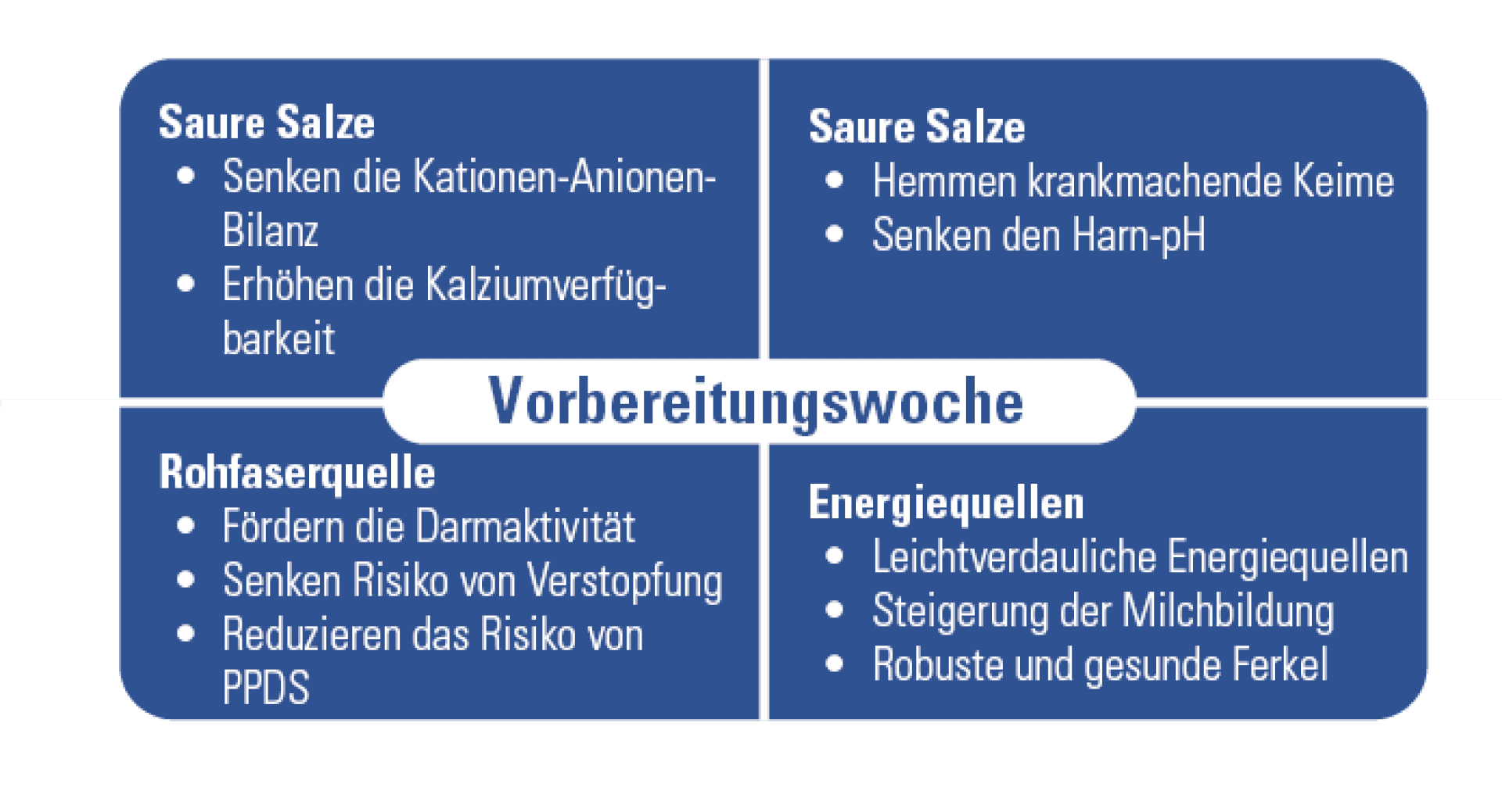 Infografik in vier Feldern zu Futterzusätzen für Ferkel: Saure Salze, Saure Salze, Rohfaserquelle, Energiequellen, jeweils mit stichpunktartigen Vorteilen; mittig steht Vorbereitungswoche.