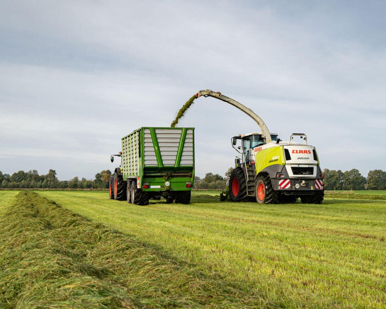 Ein Häcksler lädt das gehäckselte Gras in einen grünen Anhänger, der an einem Traktor auf einem großen Grasfeld unter bewölktem Himmel befestigt ist. Bäume säumen den Horizont im Hintergrund.