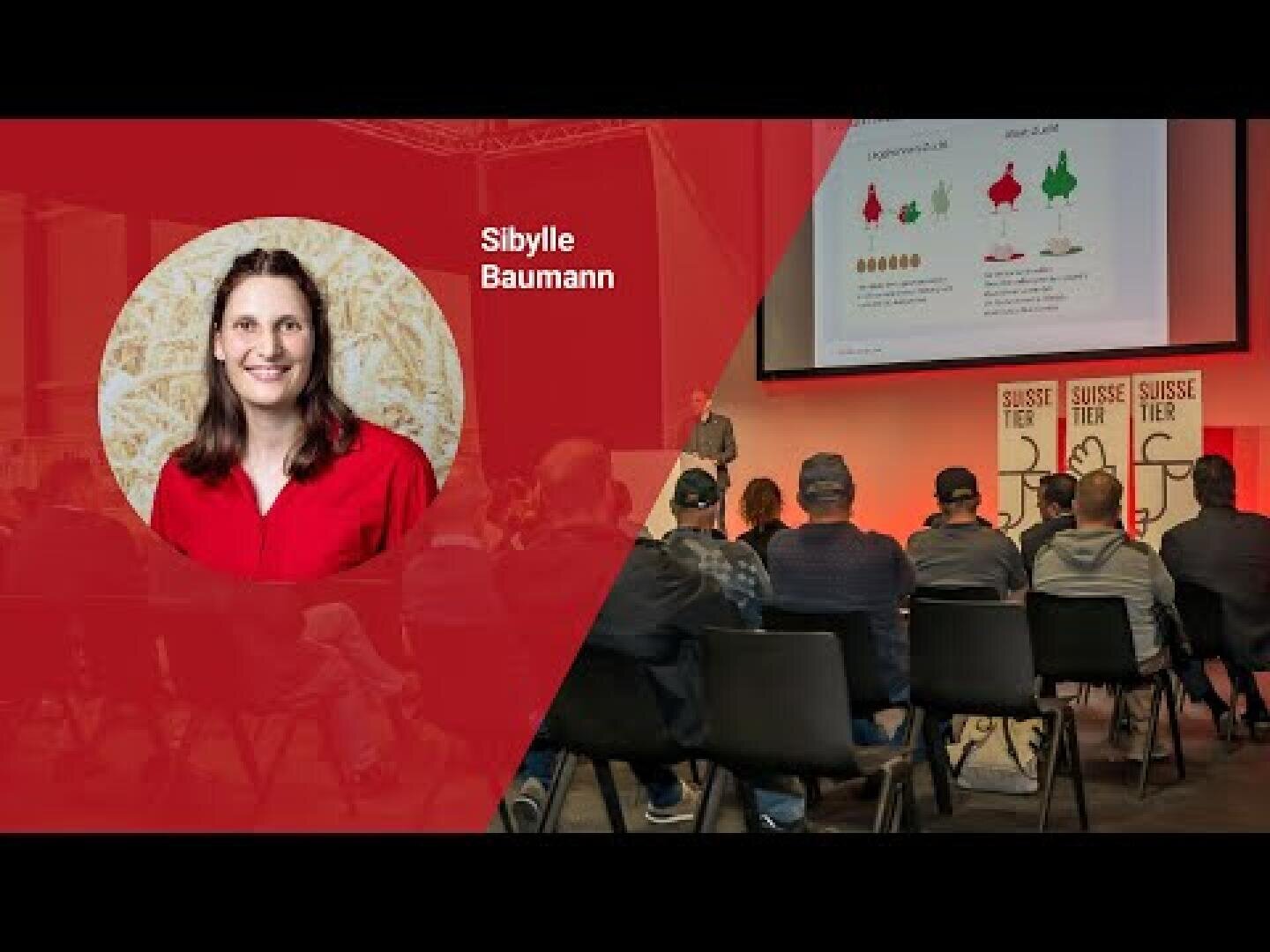 In einem Konferenzraum findet eine Präsentation statt. Die Teilnehmenden sitzen vor einem Bildschirm. Auf der linken Seite ist ein Porträt von Sibylle Baumann in einem roten Oberteil zu sehen, daneben steht ihr Name.