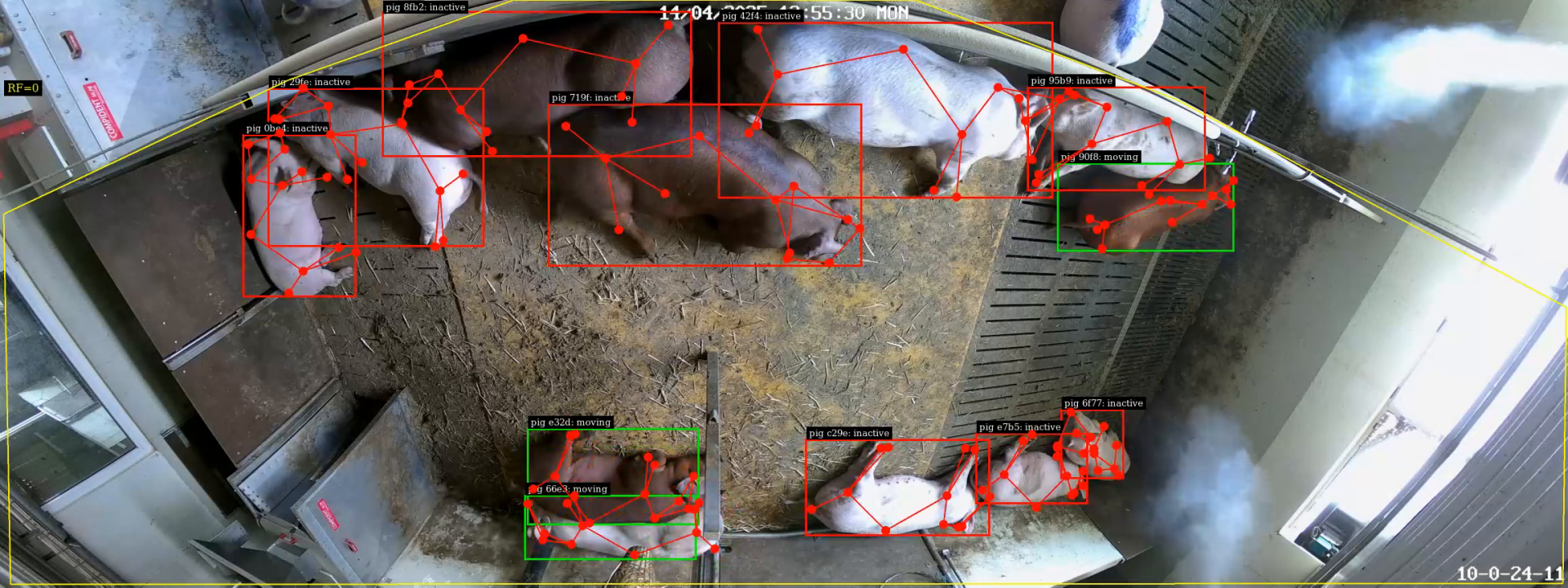 Draufsicht auf Schweine, die in getrennten Buchten liegen. Rote und grüne Kästchen mit Verfolgungslinien heben jedes Schwein hervor und kennzeichnen es, was auf die automatische Überwachung oder die eingesetzte Tierverfolgungstechnologie hinweist. Der Zeitstempel ist oben sichtbar.
