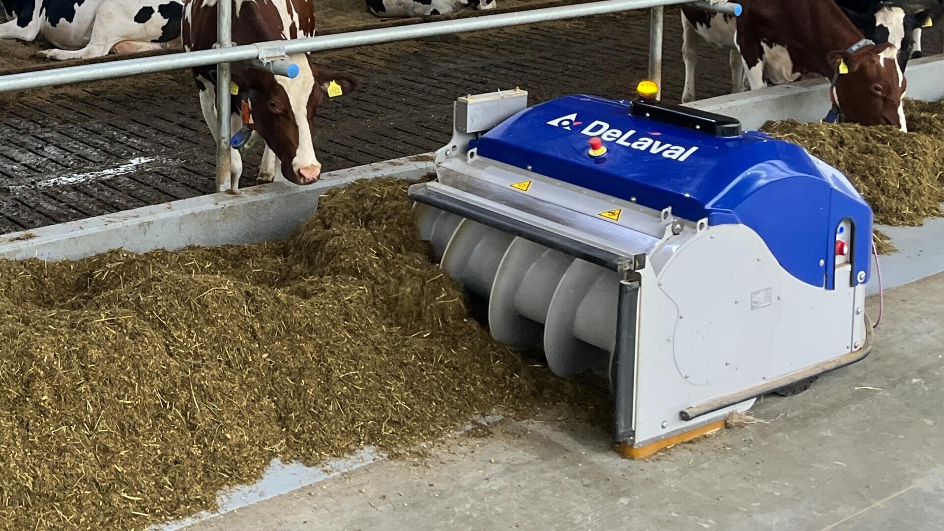 Ein automatischer Futterschieber der Marke DeLaval befördert das Viehfutter über einen Betonboden in einem Stall, während Kühe mit Ohrmarken von dem Futterhaufen hinter einem Metallgitter fressen.