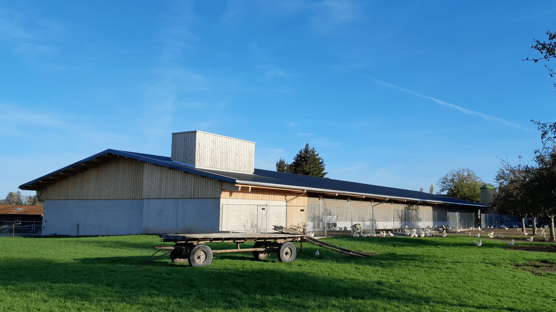 Eine moderne Scheune mit Holz- und Metallverkleidung steht auf einem grasbewachsenen Feld unter einem klaren blauen Himmel. Davor steht ein Pritschenwagen, und in der Nähe des Gebäudes ist ein Schwarm weißer Vögel versammelt. Im Hintergrund sind Bäume zu sehen.