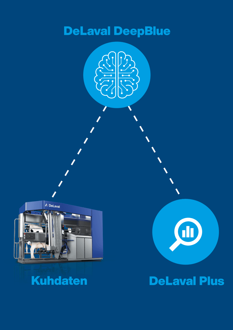 Ein Diagramm auf blauem Hintergrund zeigt eine Melkmaschine mit der Bezeichnung Kuhdaten, die durch gestrichelte Linien mit einem Gehirnsymbol mit der Bezeichnung DeLaval DeepBlue und einem Lupensymbol mit der Bezeichnung DeLaval Plus verbunden ist.