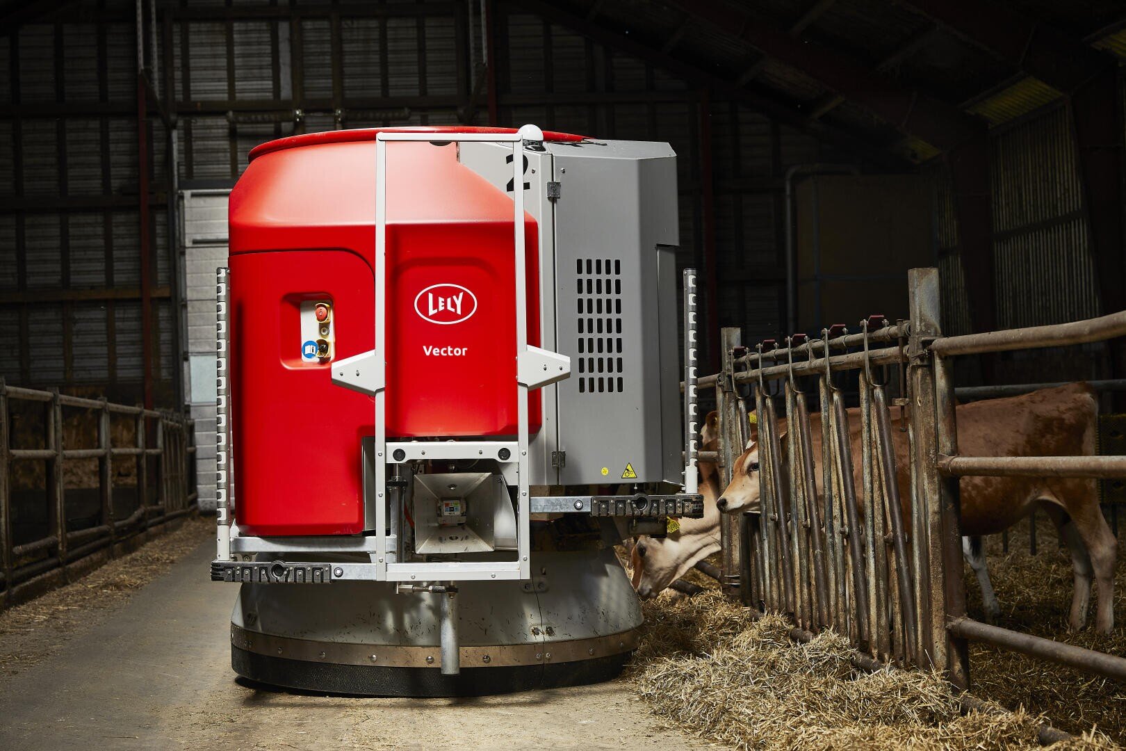 Ein rot-grauer automatischer Fütterungsroboter mit der Bezeichnung Lely Vector verteilt Futter an Kühe in einem Stall, die Heu aus einem Trog auf der rechten Seite fressen. Der Stall hat Holzgeländer und ist teilweise beleuchtet.