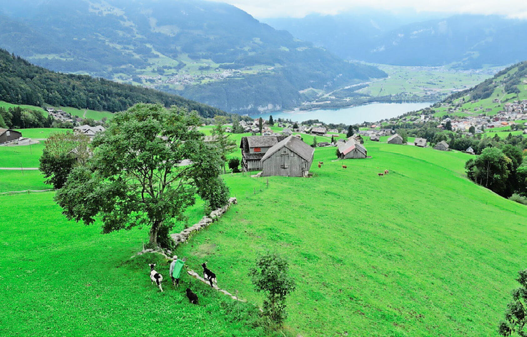 Ein üppig grüner Hügel auf dem Lande mit grasenden Kühen, einer Person, die einen Weg entlanggeht, Holzscheunen, verstreuten Häusern und einem See mit Bergen im Hintergrund unter einem bewölkten Himmel.