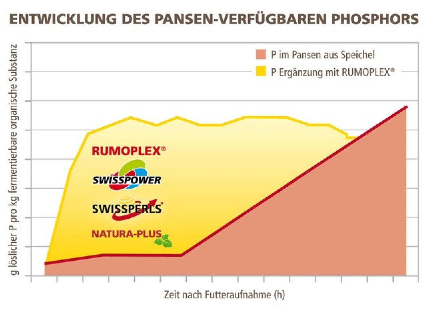 Ein Liniendiagramm, das den im Pansen verfügbaren Phosphor über die Zeit nach der Futteraufnahme zeigt. Es vergleicht den Phosphor aus dem Speichel (rote Linie) und die Wirkung der RUMOPLEX®-Ergänzung (gelber Bereich mit Produktlogos), was auf einen erhöhten Phosphorgehalt hinweist.