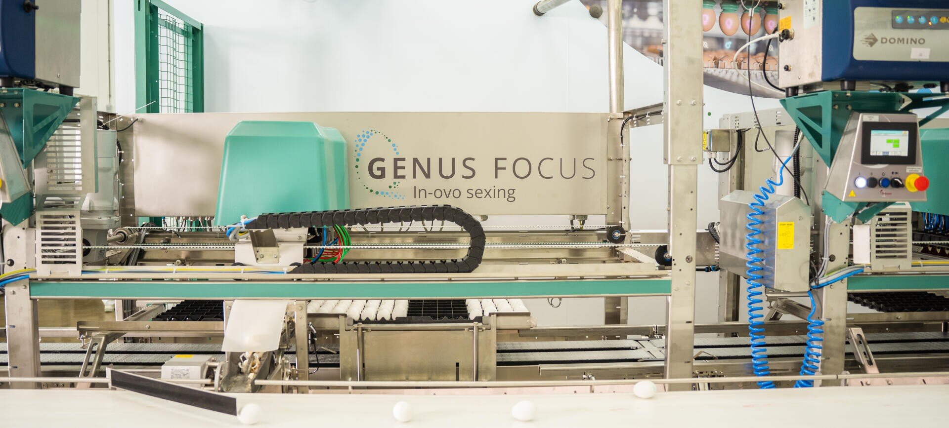Eine Maschine mit der Aufschrift GENUS FOCUS In-ovo sexing ist in einer sauberen, industriellen Umgebung mit Förderbändern und verstreuten Eiern im Vordergrund aufgestellt.