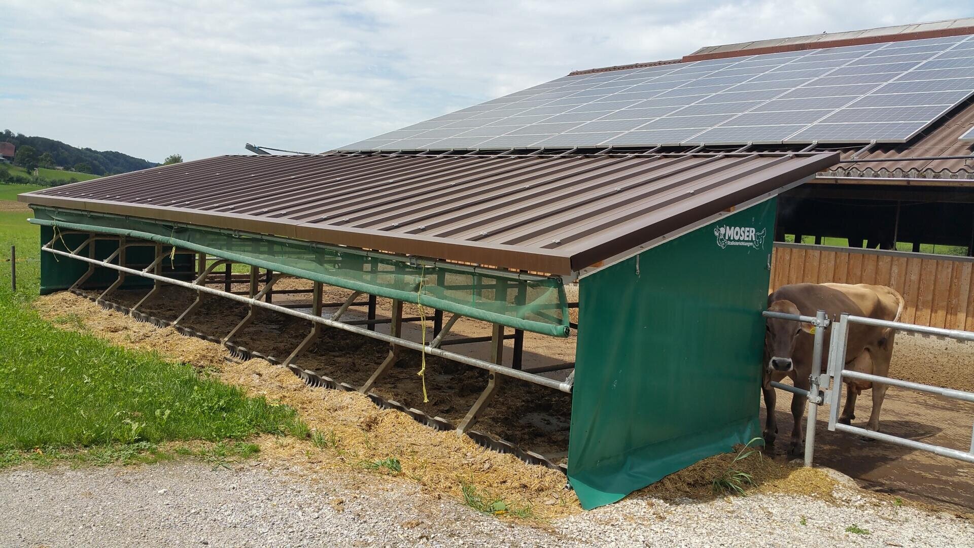 Ein überdachter Futterplatz für Rinder im Freien mit einem Metalldach und grünen Seitenwänden, der an einen Stall mit Sonnenkollektoren auf dem Dach angebaut ist. Eine braune Kuh steht teilweise sichtbar am anderen Ende.