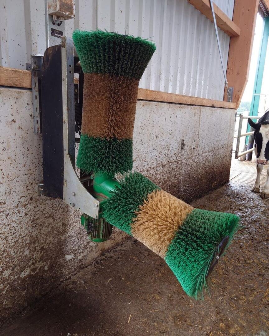 Eine große, rotierende, grün-braune Bürstenmaschine ist an einer Stallwand montiert und dient der Pflege des Viehs. Auf der rechten Seite im Hintergrund ist ein Teil einer schwarz-weißen Kuh zu sehen.
