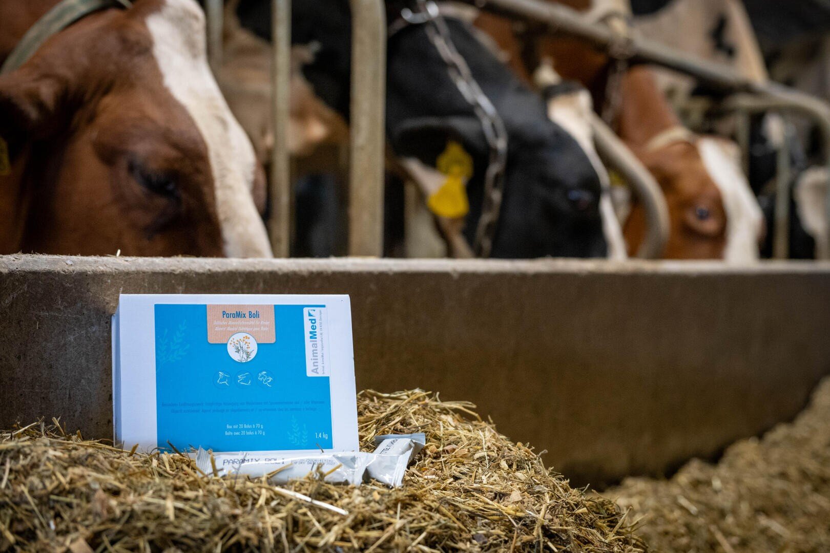 Eine Schachtel mit der Aufschrift Pacific-BAI steht auf Heu in einem Stall, dahinter fressen mehrere Kühe. Der Fokus liegt auf dem Produkt im Vordergrund, während die Kühe und die Stallumgebung im Hintergrund leicht verschwommen sind.