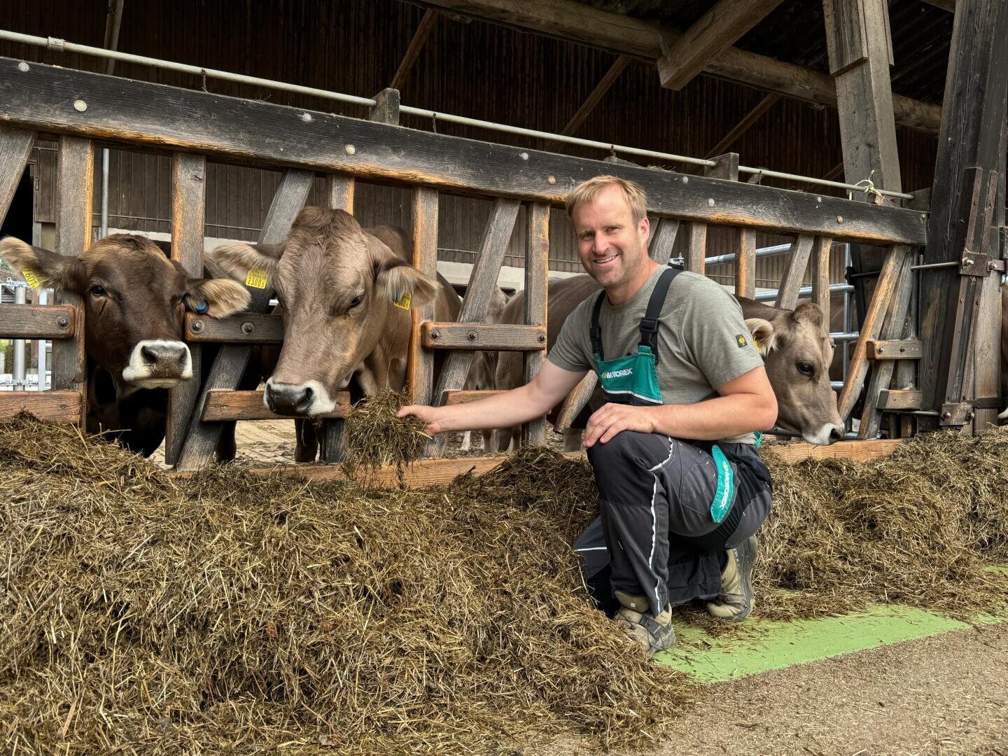 Ein Mann in einem Overall kniet und lächelt neben einer Reihe von Kühen, die Heu aus einer hölzernen Tränke in einem Stall fressen. Die Kühe haben gelbe Ohrmarken, und der Mann hält eine Handvoll Heu.
