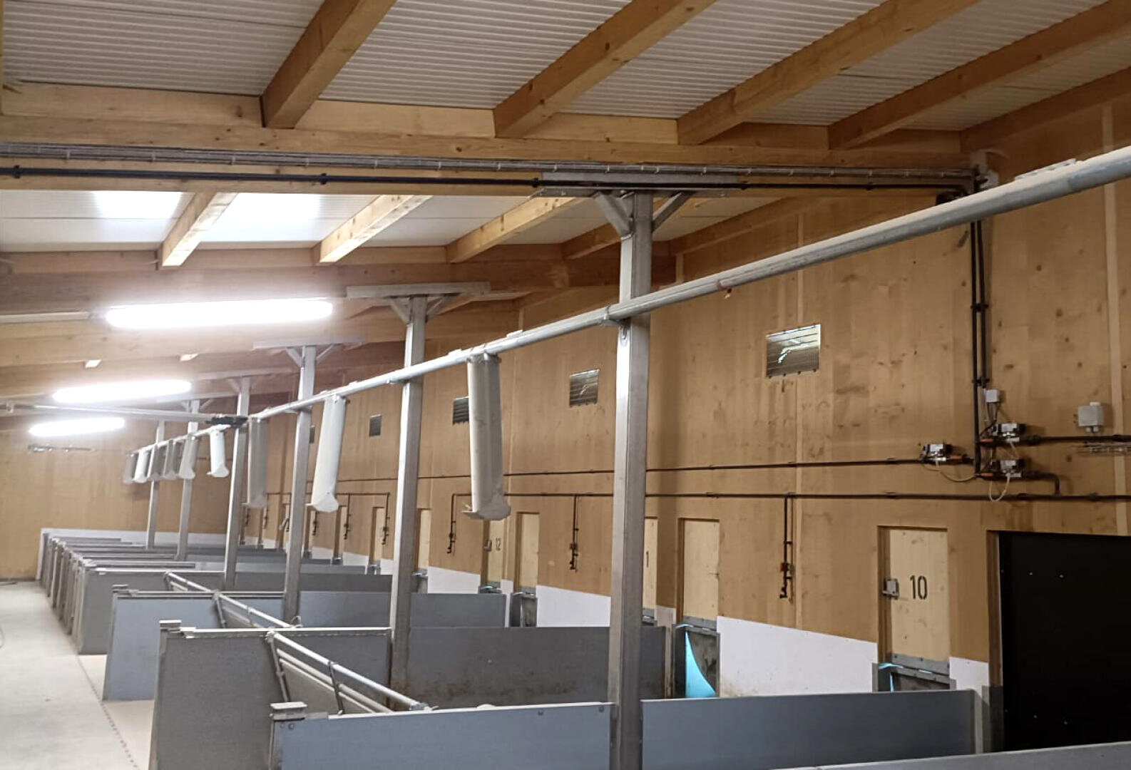 Eine Reihe von überdachten Pferdeboxen in einem gut beleuchteten Stall mit Holzwänden, nummerierten Türen und Metalltrennwänden unter einer hohen Decke mit freiliegenden Balken und Leuchtstoffröhren.