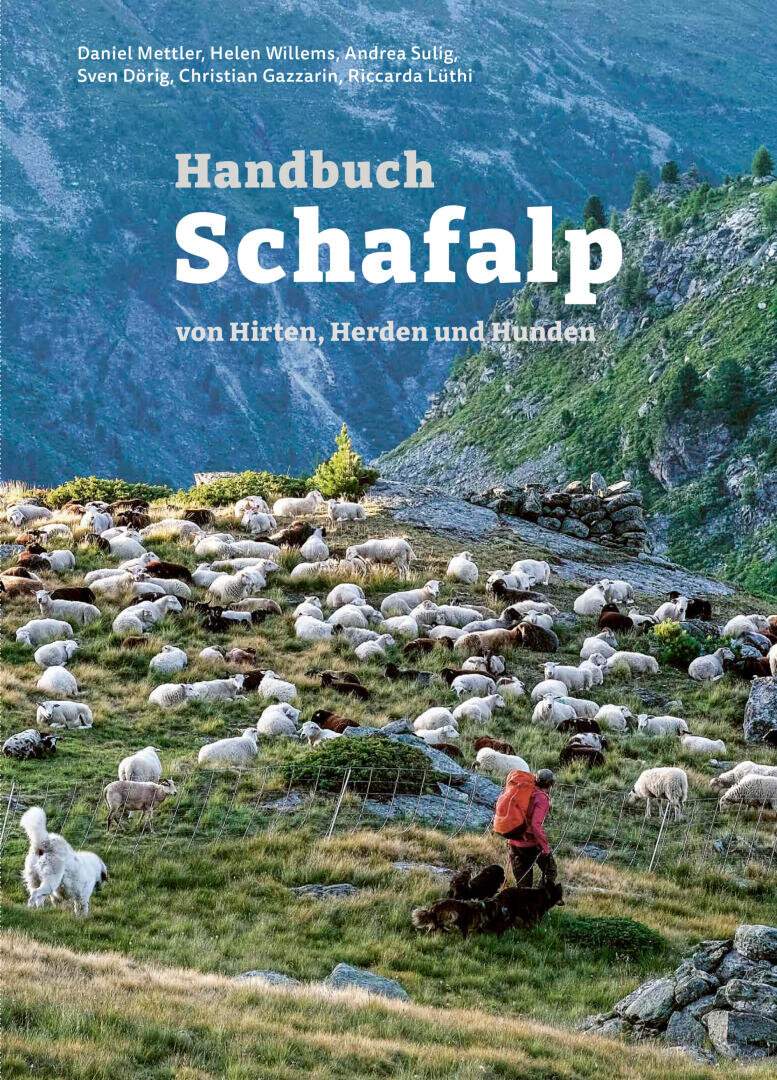 Ein Hirte mit Hunden hütet eine große Schafherde, die auf einem felsigen, grasbewachsenen Hügel weidet, umgeben von üppig grünen Bergen unter einem blauen Himmel. Der Text darüber lautet: Handbuch Schafalp von Hirten, Herden und Hunden.