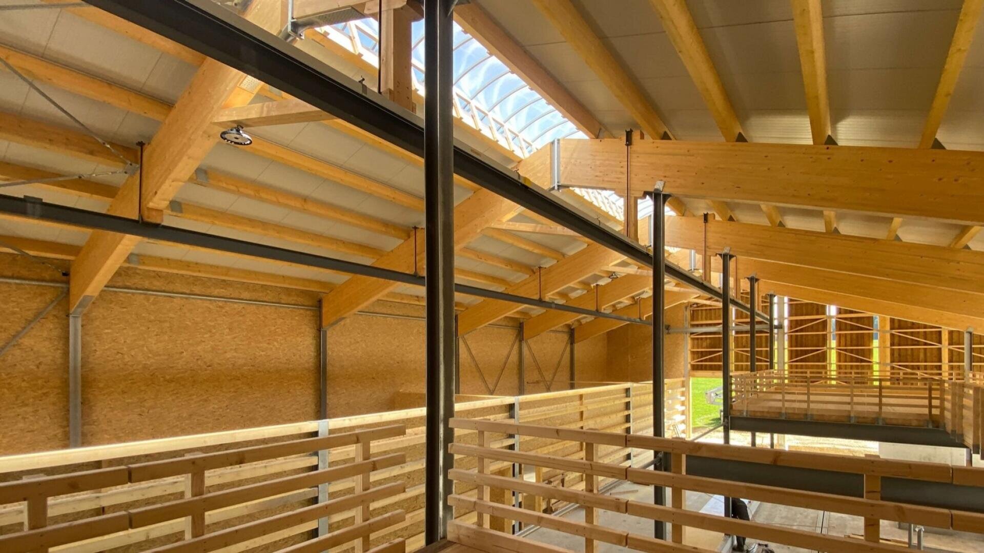 Innenansicht eines Holzgebäudes mit sichtbaren Balken, Oberlichtern und Geländern. Natürliches Licht fällt durch große Fenster ein und unterstreicht die moderne Holzkonstruktion und die offene, geräumige Gestaltung.
