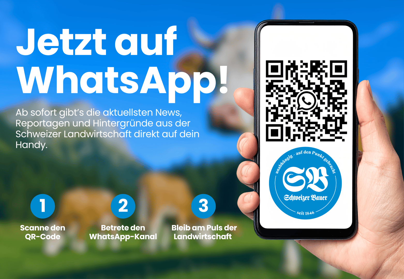 Eine Hand hält ein Smartphone, auf dem ein QR-Code für den WhatsApp-Kanal von Schweizer Bauers angezeigt wird. Im Hintergrund steht eine unscharfe Kuh auf einer grünen Wiese. Ein deutscher Text erklärt, wie man sich für Neuigkeiten aus der Schweizer Landwirtschaft anmelden kann.