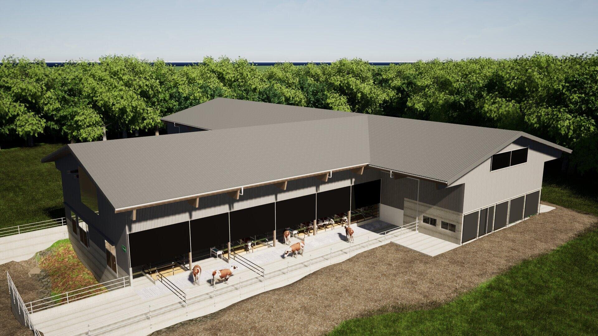 Ein moderner Stall mit einem grauen Dach und offenen Seiten, in dem mehrere Kühe drinnen und draußen untergebracht sind. Der Stall ist von grünen Bäumen umgeben und hat betonierte Gehwege, die unter einem klaren Himmel verlaufen.