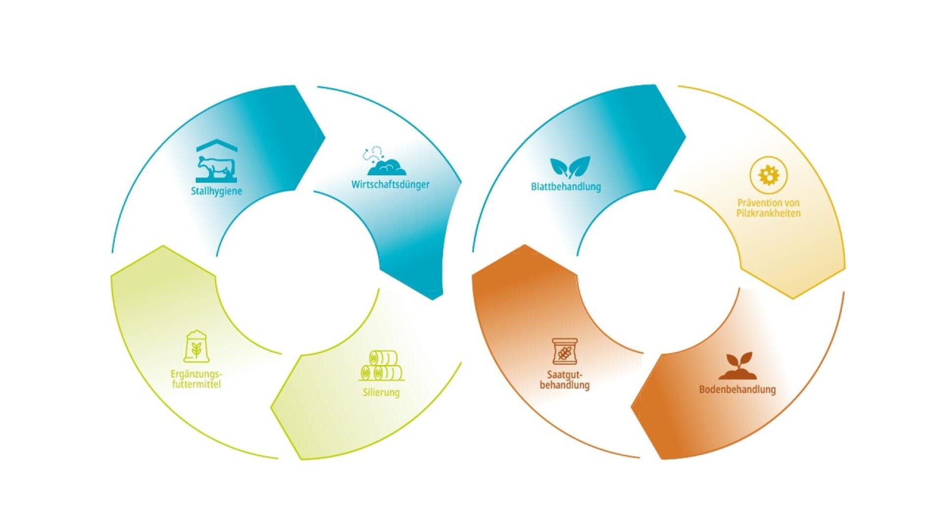 Kreisförmige Infografik in deutscher Sprache, die die miteinander verknüpften Phasen zeigt: Stallhygiene, organischer Dünger, Blattbehandlung, Vorbeugung von Pflanzenkrankheiten, Bodenbehandlung, Saatgutbehandlung, Silage und Ergänzungsfuttermittel/Mineralfutter.