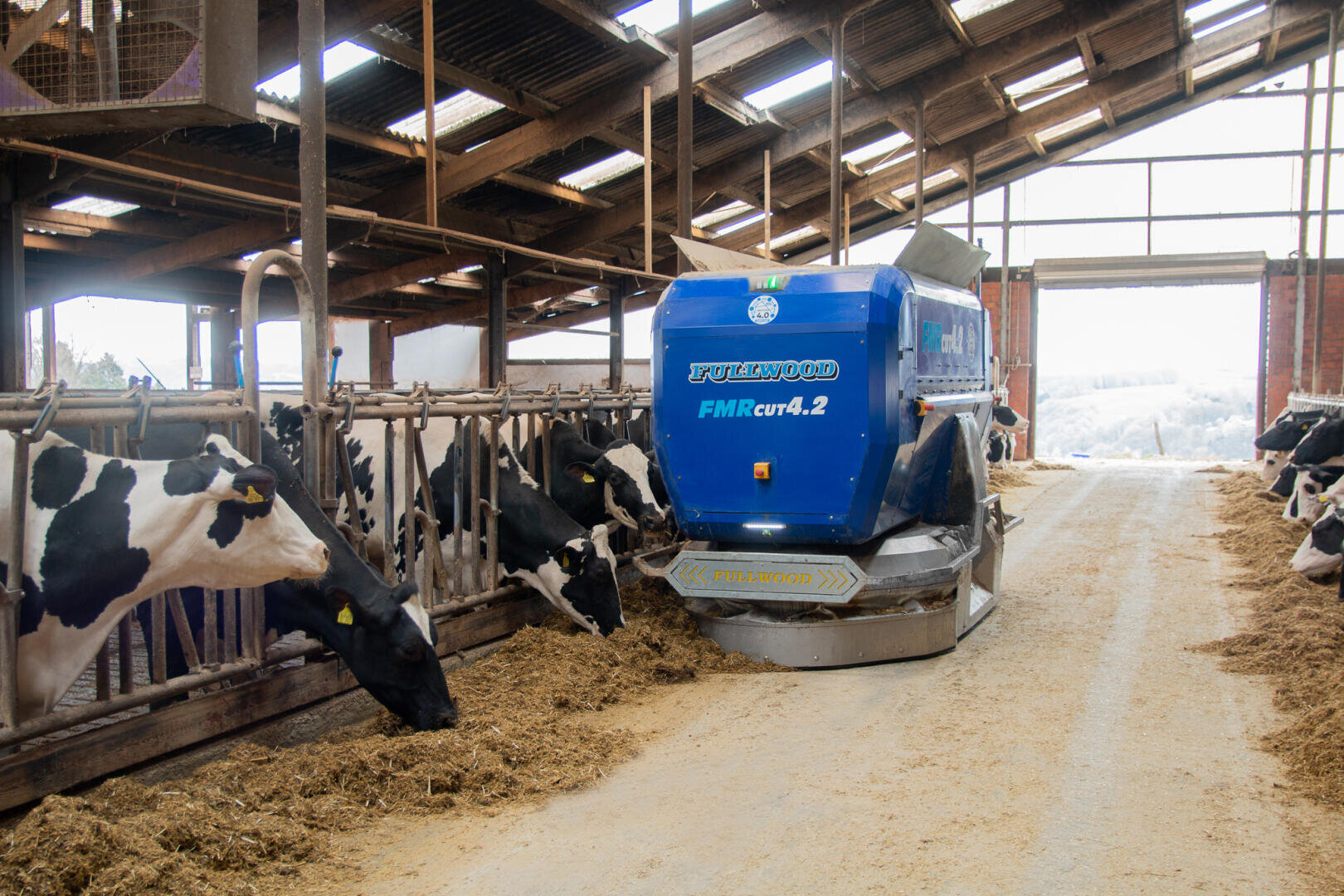 Ein blauer automatischer Futterschieber bewegt sich durch einen Stallgang und liefert Futter an schwarz-weiße Milchkühe, die aus Trögen in einem gut beleuchteten, offenen Stall fressen.