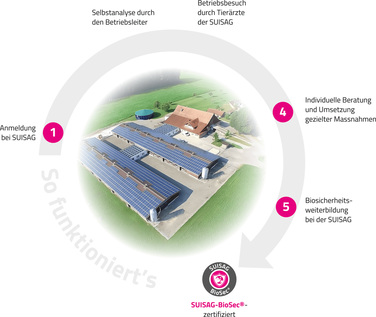 Luftaufnahme eines Bauernhofs mit Sonnenkollektoren auf den Dächern, umgeben von Feldern. Fünf nummerierte Schritte umkreisen das Bild und erklären einen Biosicherheitsprozess auf Deutsch, mit dem SUISAG-BioSec®-Zertifizierungslogo am unteren Rand.