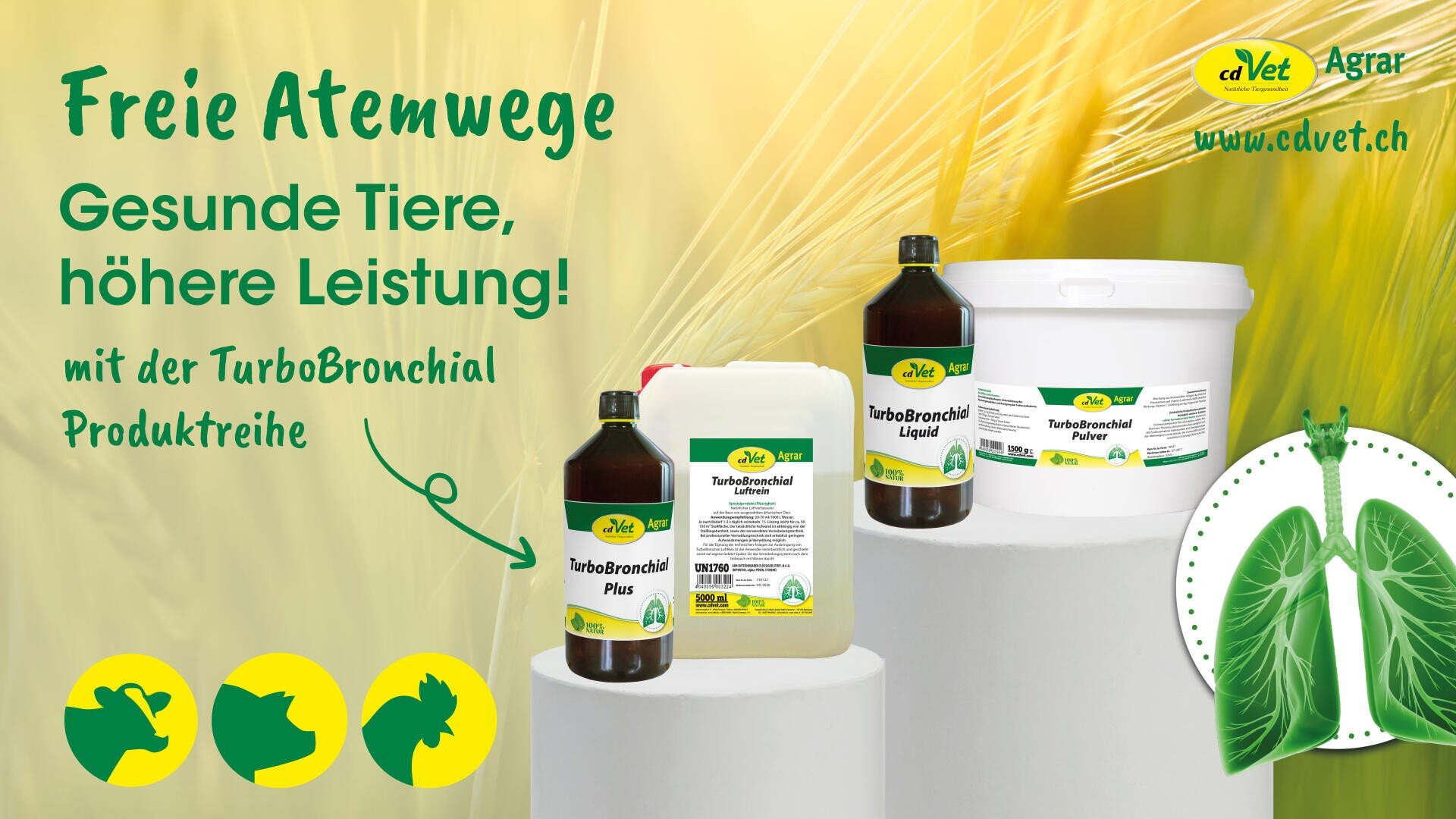 Werbebild für die TurboBronchial-Produktlinie von adVets für Tiere. Es zeigt Flaschen, einen Behälter und eine Wanne mit den Produkten auf Sockeln, mit grünem Text über gesunde Atemwege und Tiersilhouetten auf einem Weizenhintergrund.