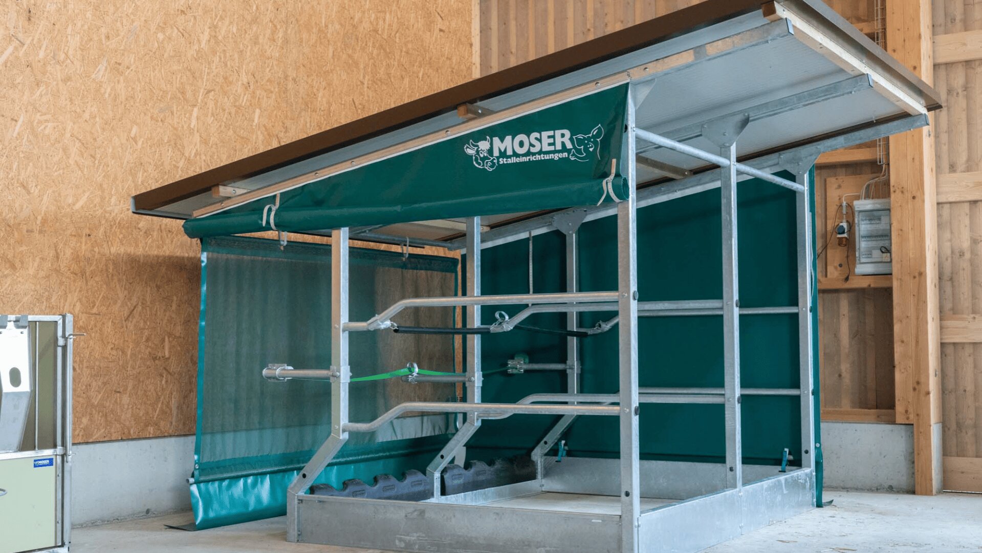 Ein grüner, metallüberzogener Kuhstall mit der Aufschrift MOSER befindet sich in einem Stall mit Holzwänden und Betonboden, der für die Fütterung oder Unterbringung des Viehs vorgesehen ist.