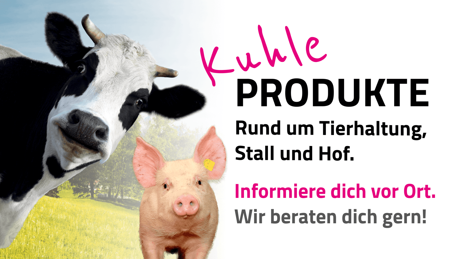 Eine Kuh und ein Schwein stehen auf einer sonnigen grünen Wiese, mit deutschem Text, der für Tierhaltungsprodukte wirbt und Beratung vor Ort bietet: Kuhle PRODUKTE Rund um Tierhaltung, Stall und Hof. Informiere dich vor Ort. Wir beraten dich gerne!.