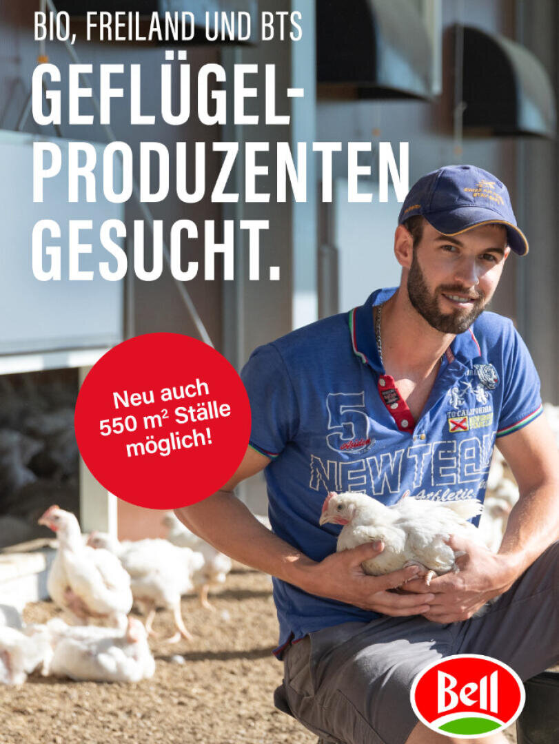 Ein lächelnder Mann in einem blauen Polohemd und einer Mütze hält ein Huhn in einem hellen Geflügelstall. Der Text in deutscher Sprache wirbt für Geflügelproduzenten. Ein rotes Schild weist auf neue 550 m² große Ställe hin, und am unteren Rand befindet sich ein Bell-Logo.