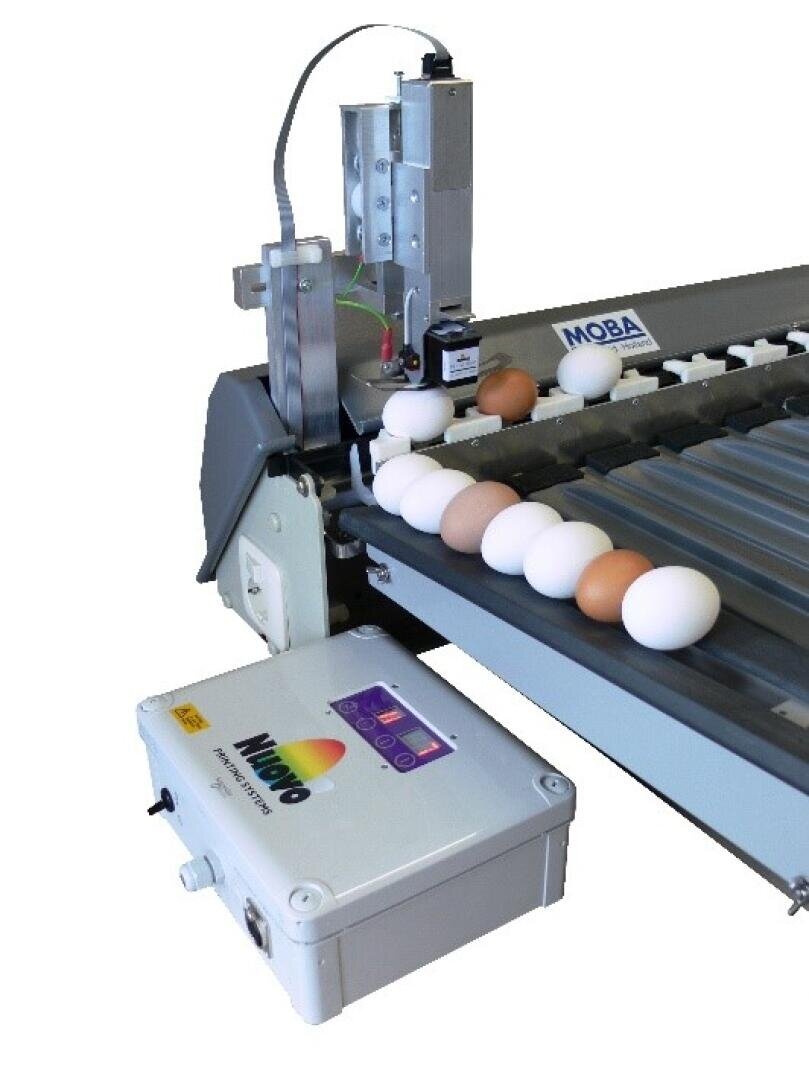 Eine Eiersortiermaschine mit braunen und weißen Eiern auf einem Förderband, mit einem Schaltkasten mit der Aufschrift Moba und Micro, die zum Sortieren oder Verarbeiten von Eiern verwendet wird.