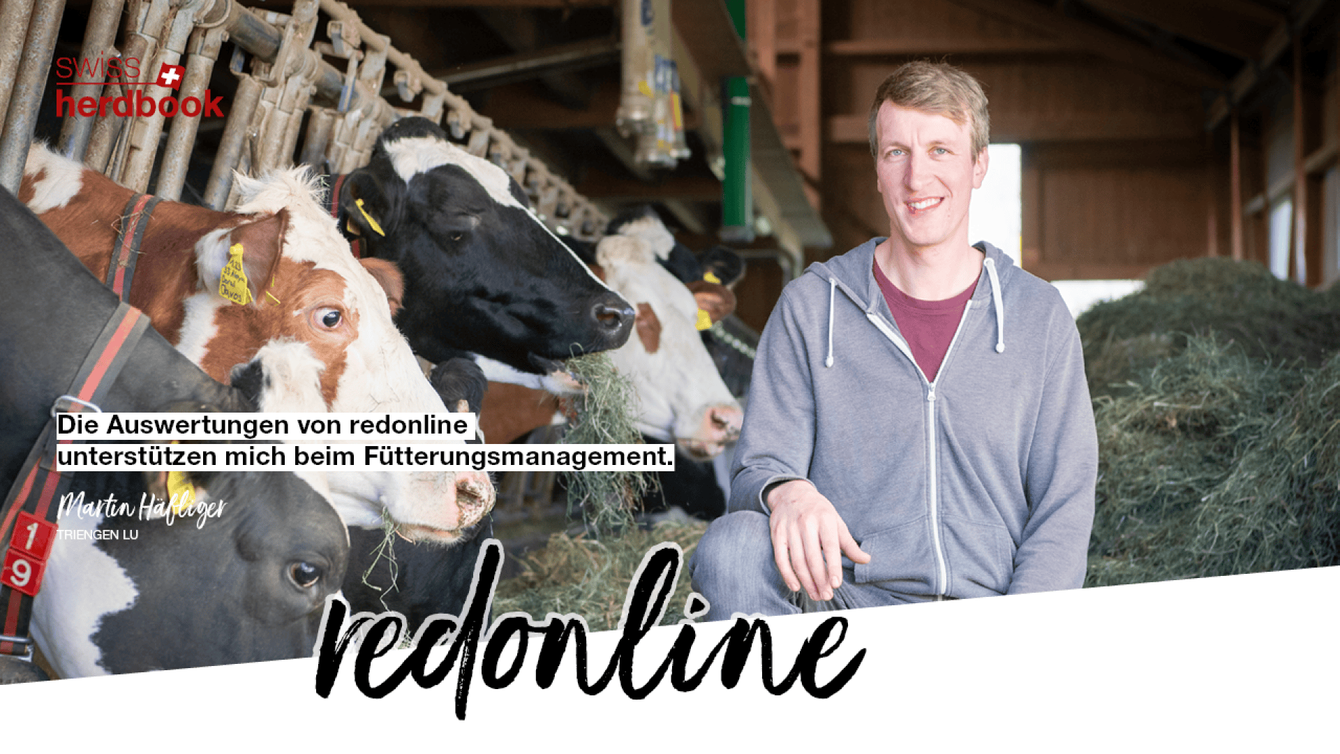 Ein lächelnder Mann sitzt in einer Scheune neben mehreren Kühen und frisst Heu. Der deutsche Text lautet: "Die Auswertungen von redonline unterstützen mich beim Fütterungsmanagement. Die Logos von Swissherdbook und redonline sind sichtbar.