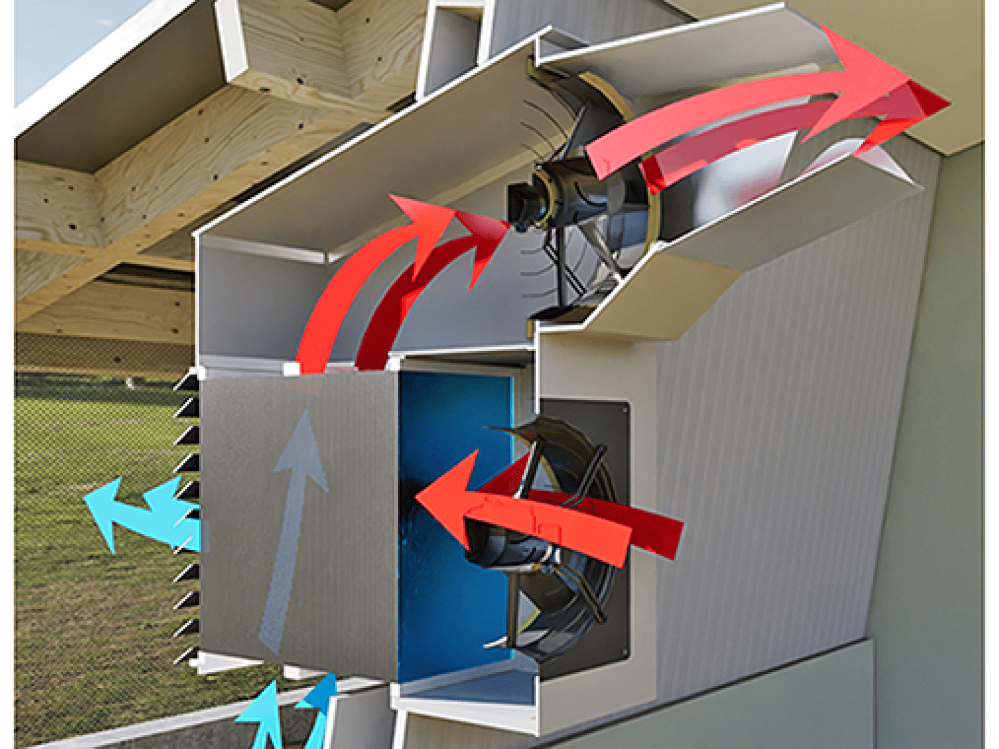Der Schnitt durch ein Lüftungssystem zeigt mit blauen Pfeilen den Eintritt von Frischluft durch Filter und mit roten Pfeilen den Austritt von warmer Luft nach oben mit Hilfe von Ventilatoren und Kanälen in einer Gebäudewand.