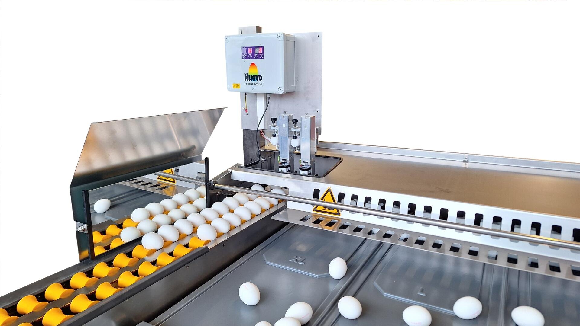 Eine Maschine, die automatisch weiße Eier auf einem Fördersystem sortiert, wobei sich die Eier in Reihen bewegen und einige in separate Schalen gelegt werden; der Hintergrund ist einfarbig weiß.