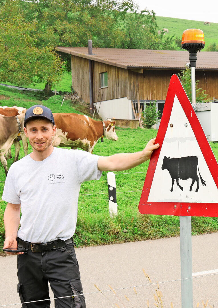 Ein Mann mit Mütze und weißem Hemd steht an einem dreieckigen Kuhkreuzungsschild an einer Straße, hinter ihm grasen Kühe und ein Holzhaus im Grünen.