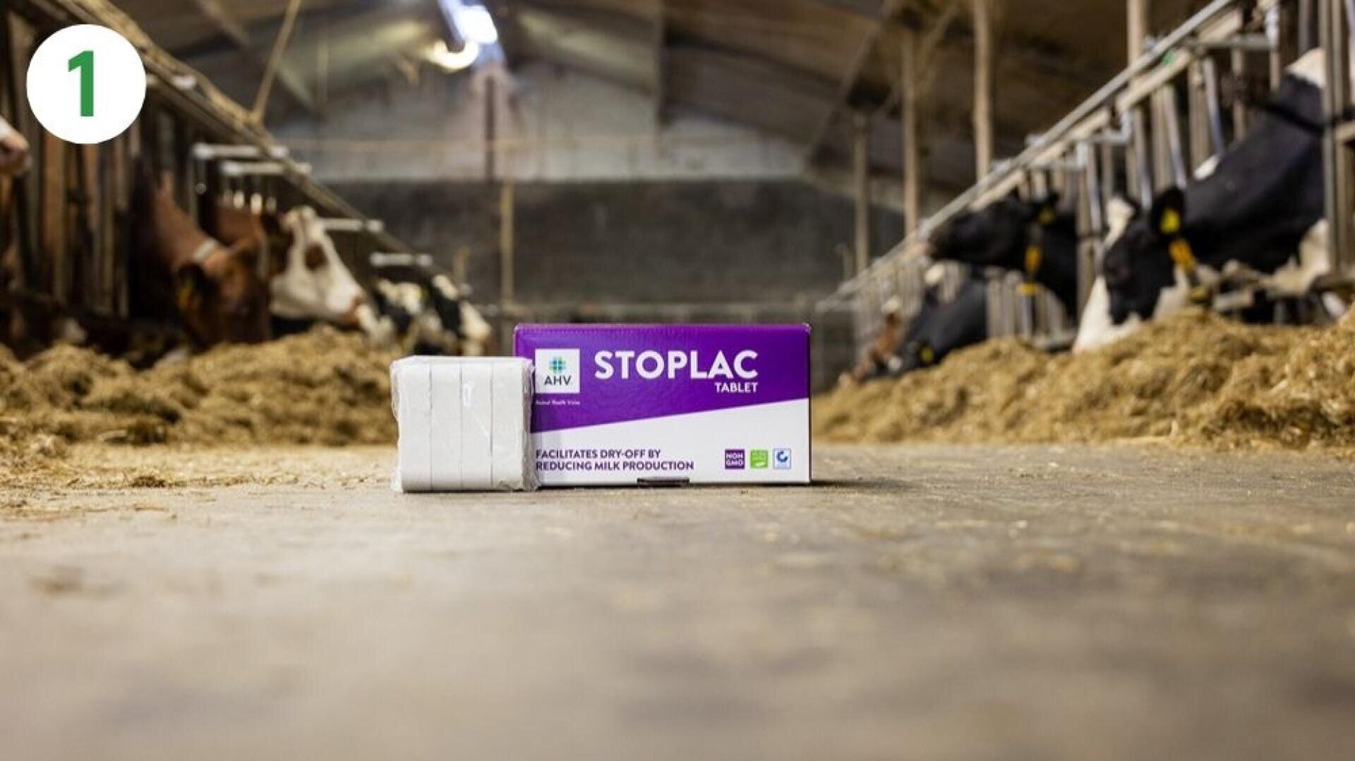Eine Schachtel mit der Aufschrift "STOPLAC-Tablette" und weiße Tabletten liegen auf dem Boden eines Stalls, in dem auf beiden Seiten Kühe in Ställen stehen und Heu verstreut ist. In der oberen linken Ecke steht eine grüne Nummer 1.
