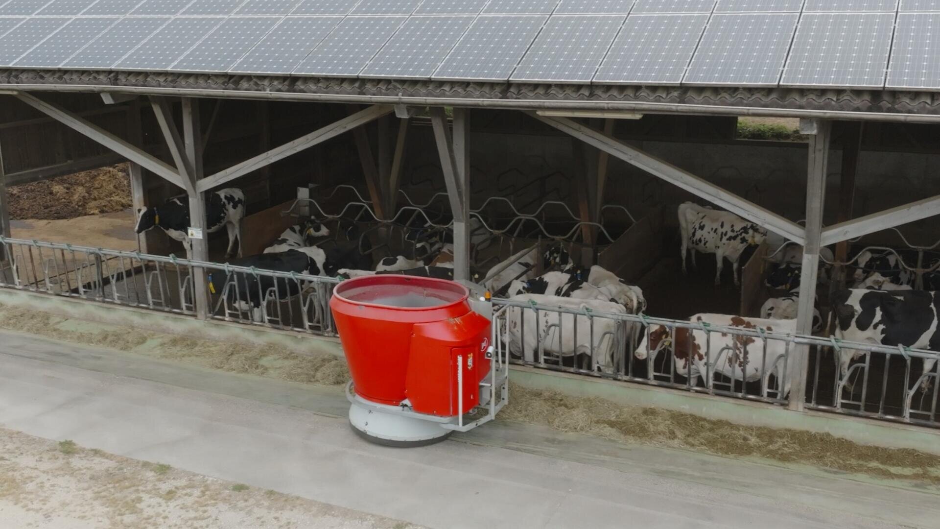 Ein roter Fütterungsautomat bewegt sich entlang eines Rinderstalls und verteilt Futter an die Kühe im Inneren. Das Dach des Stalls ist mit Sonnenkollektoren bedeckt, und mehrere Kühe sind zu sehen, die hinter Metallzäunen fressen.