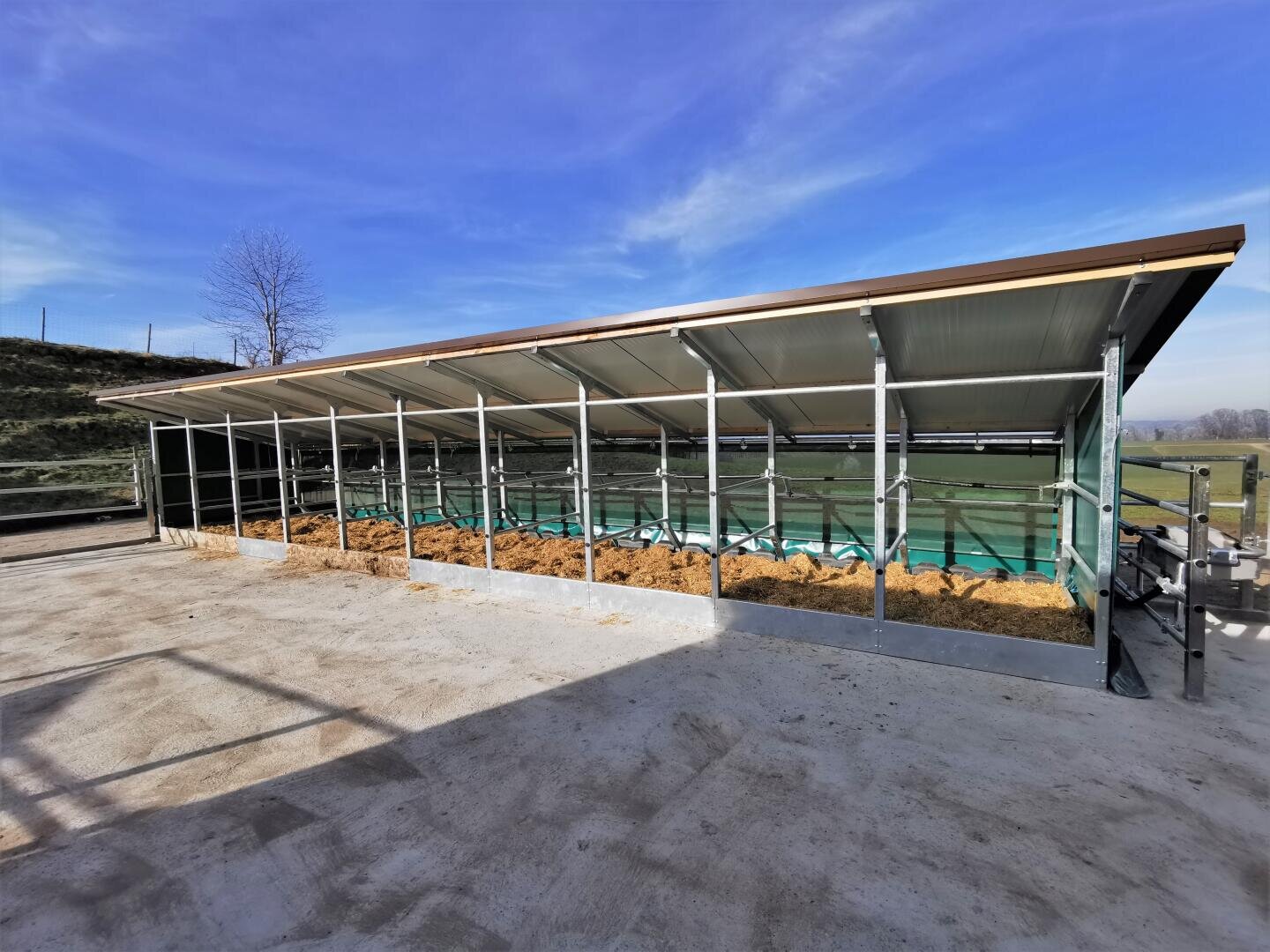 Ein moderner, offener Stall mit schrägem Metalldach, gefüllt mit Stroheinstreu, steht auf einer Betonfläche, umgeben von grasbewachsenen Feldern unter blauem Himmel.