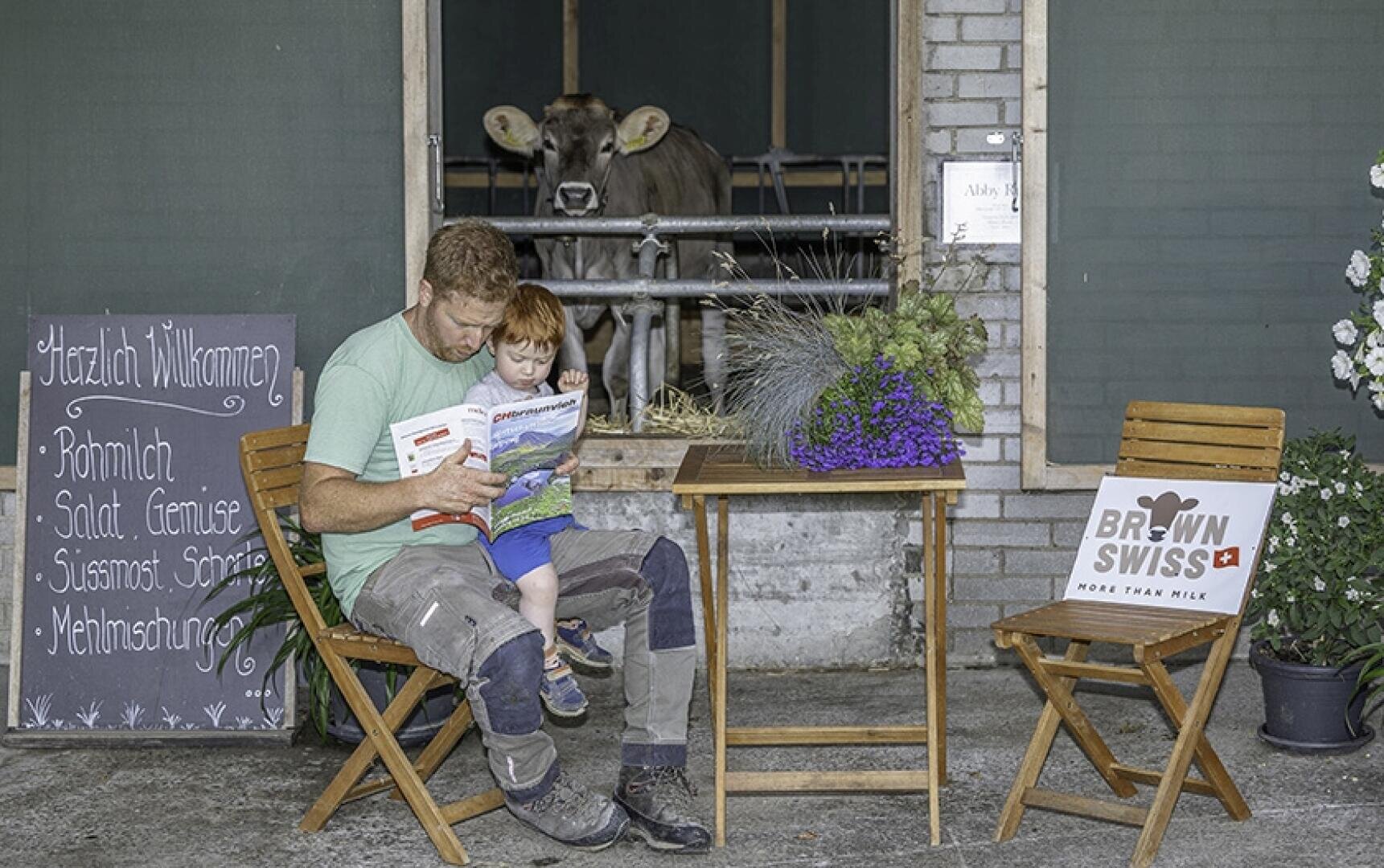 Ein Mann und ein kleines Kind sitzen an einem kleinen Tisch mit Blumen und lesen eine Zeitschrift, während eine Brown Swiss-Kuh in einem Stall hinter ihnen steht. In der Nähe sind eine Speisekarte und ein Schild mit der Aufschrift "Brown Swiss" zu sehen.