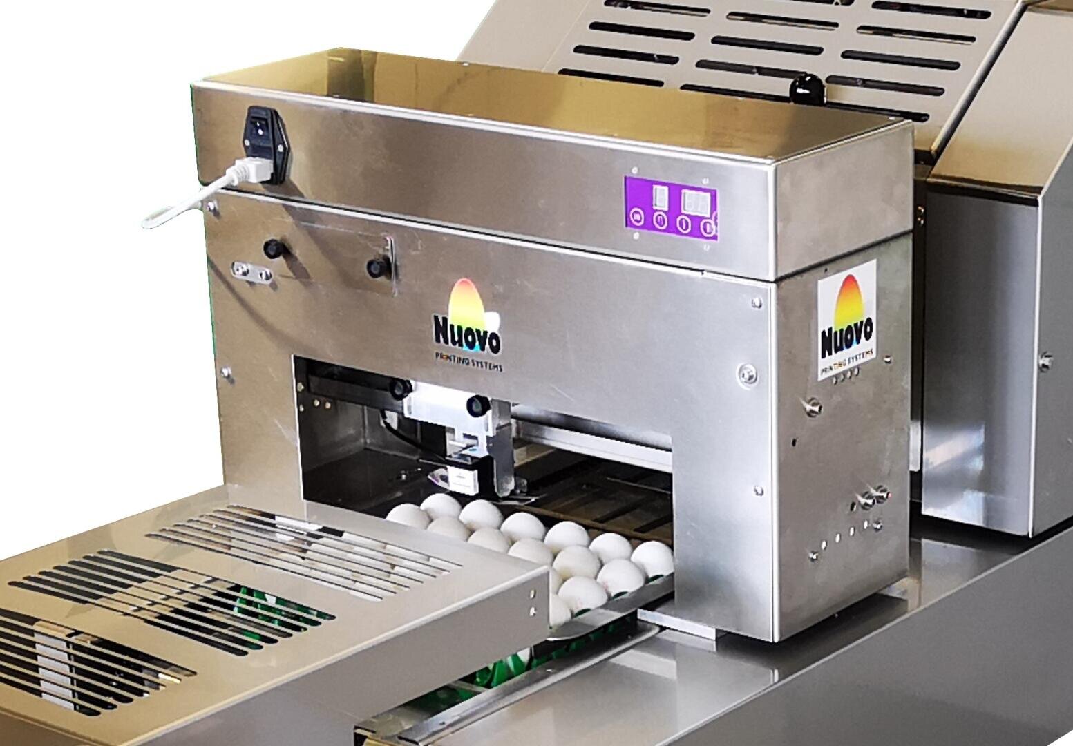 Eine Nuovo-Maschine aus rostfreiem Stahl mit digitaler Steuerung verarbeitet weiße Eier auf einem Förderband und bereitet sie für das Prägen oder Verpacken vor.