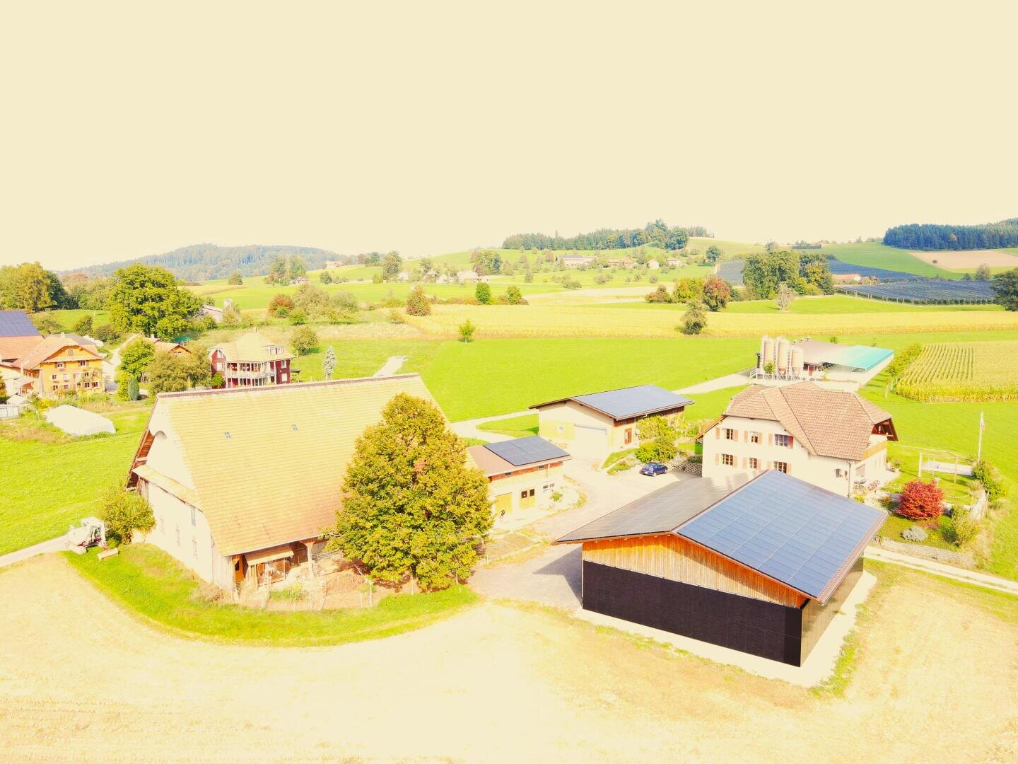 Luftaufnahme eines ländlichen Bauernhofs mit mehreren Gebäuden, umgeben von grünen Feldern, Bäumen und sanften Hügeln unter einem hellen, klaren Himmel. Auf einigen Dächern sind Sonnenkollektoren angebracht.