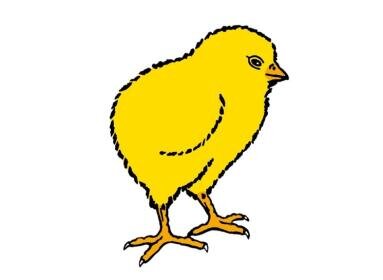 Wüthrich Geflügel AG