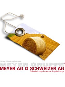 MEYER GRUPPE, Meyer AG & Schweizer AG