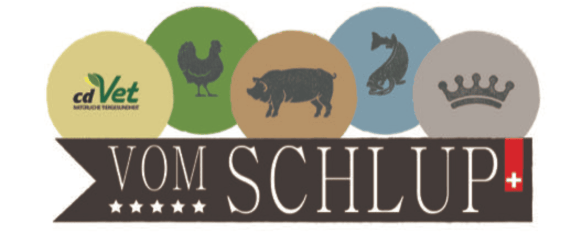 Marcel Schlup GmbH