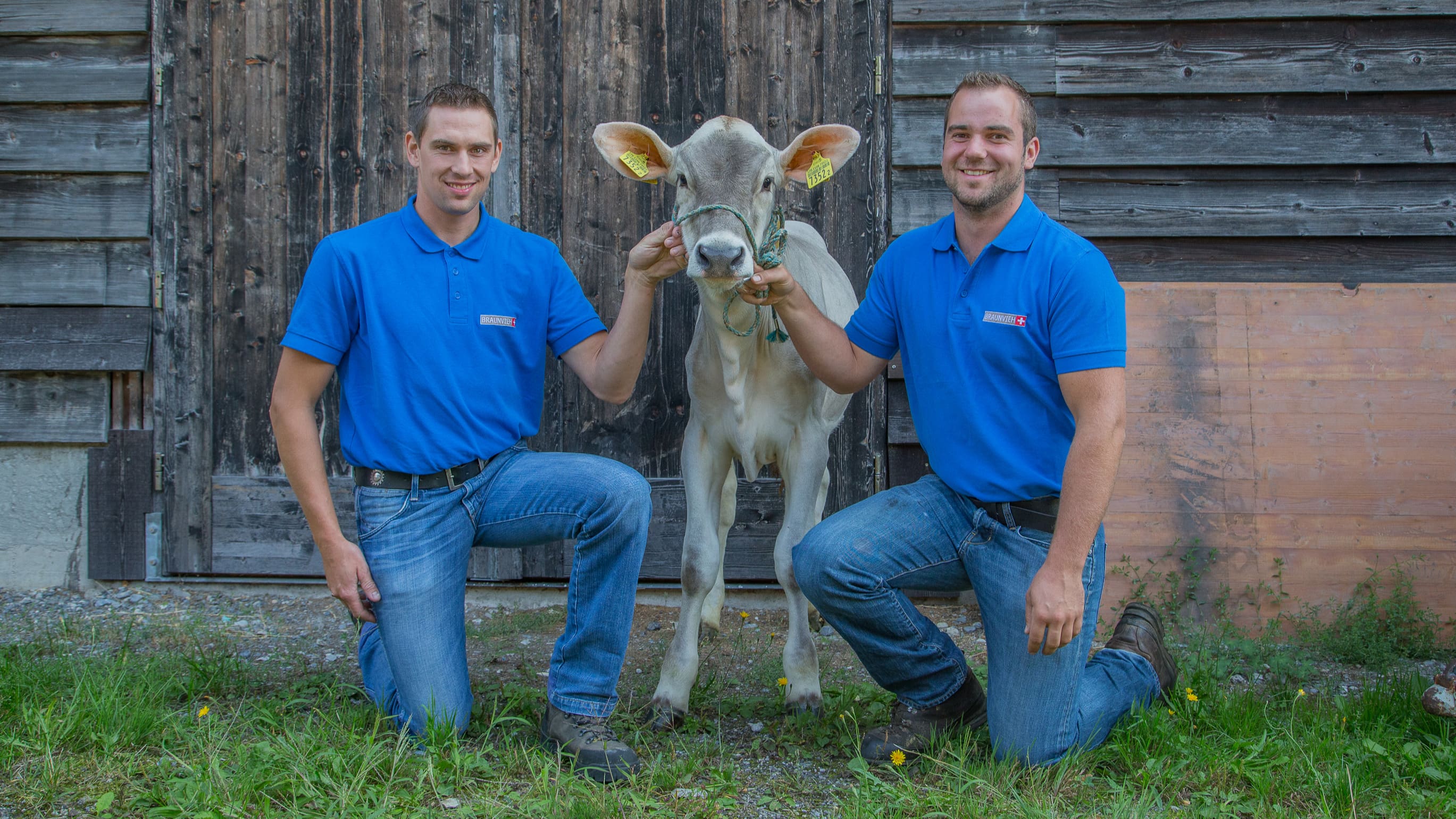 Andreas Kocher und Adrian Annen:
Zuchtberater bei Braunvieh Schweiz