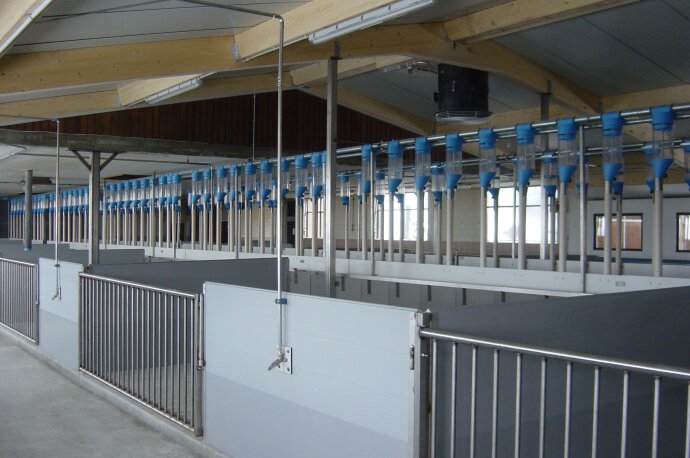 Reihen von leeren Ställen mit darüber hängenden blauen Futterautomaten, in einer sauberen, modernen Scheune mit Metallgeländern und Trennwänden, unter einem Schrägdach mit freiliegenden Balken.
