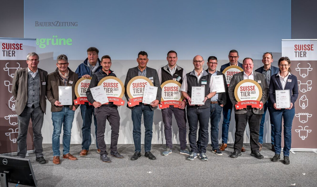 st-wettbewerb-21.JPG (0.2 MB)